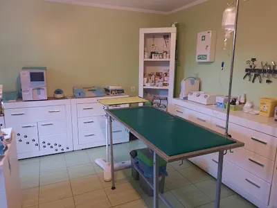 Gabinet weterynaryjny Milena Bagińska